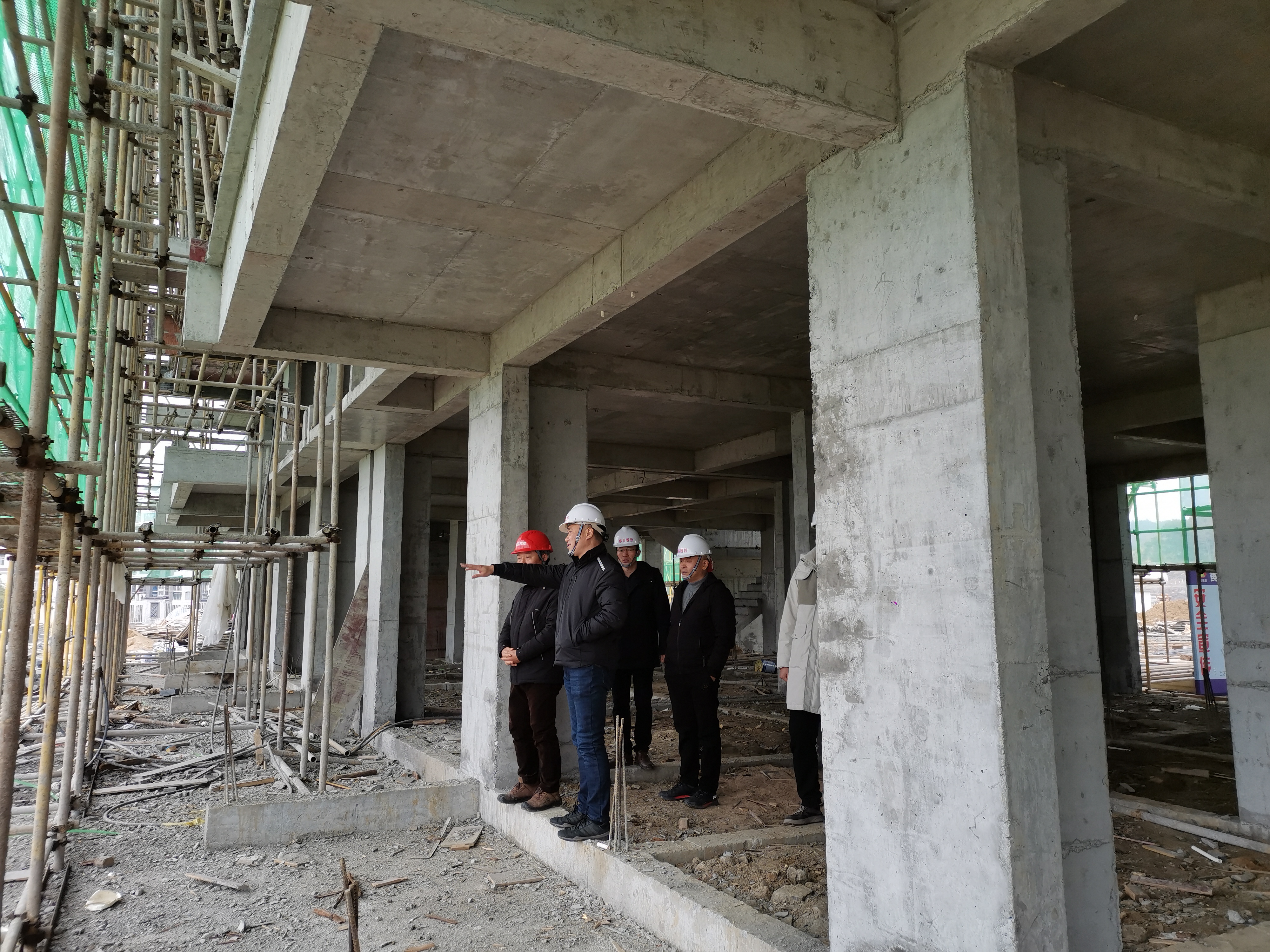 IMG_20210105_095305.jpg IMG_20210105_095305.jpg