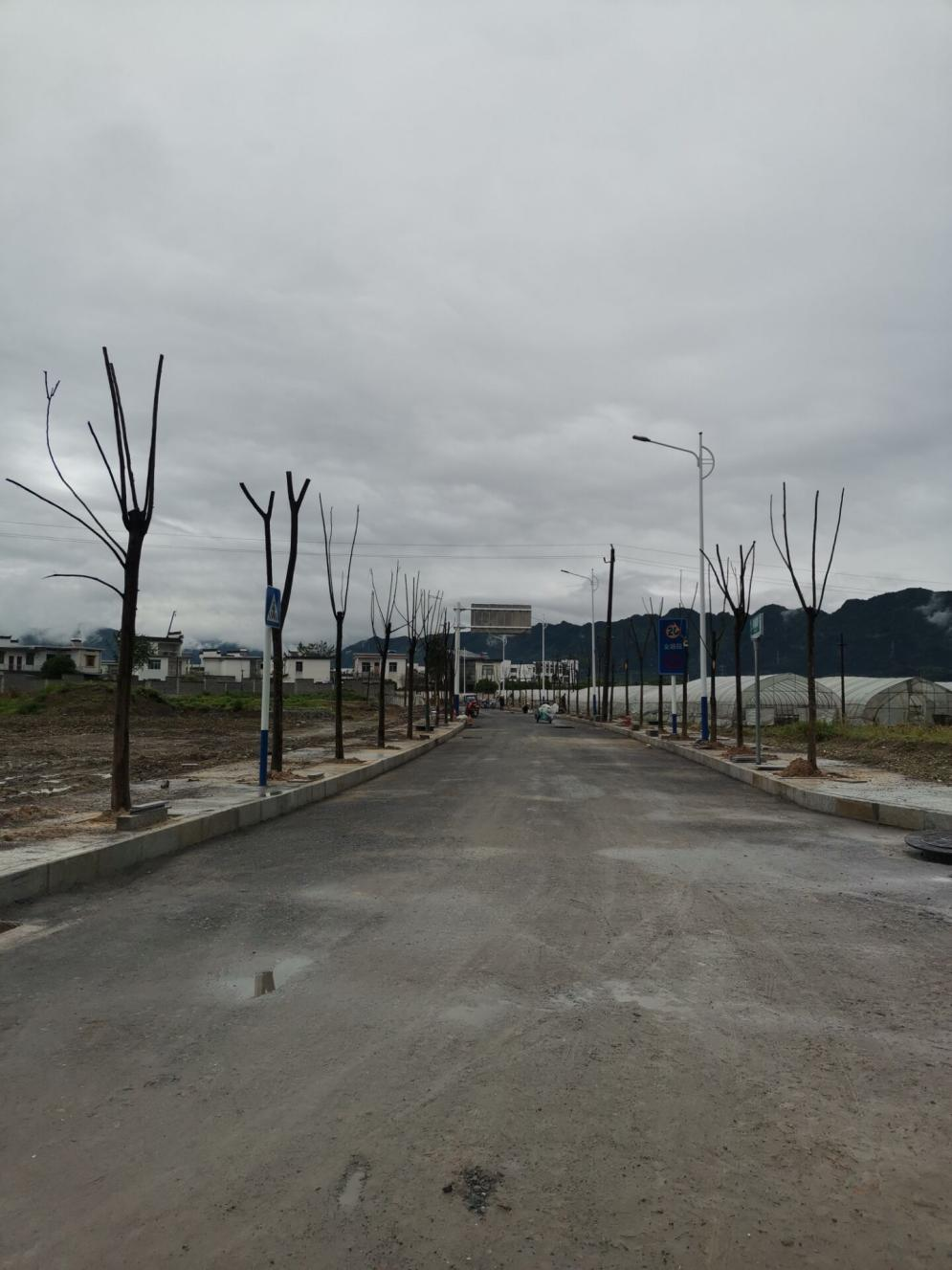 圖片4.png 圖片4.png