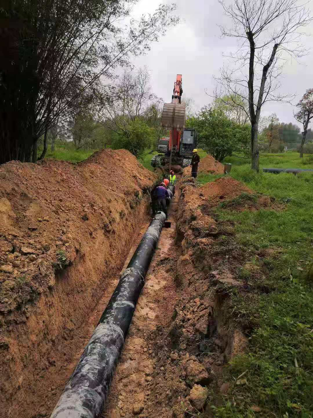 圖片8.png 圖片8.png