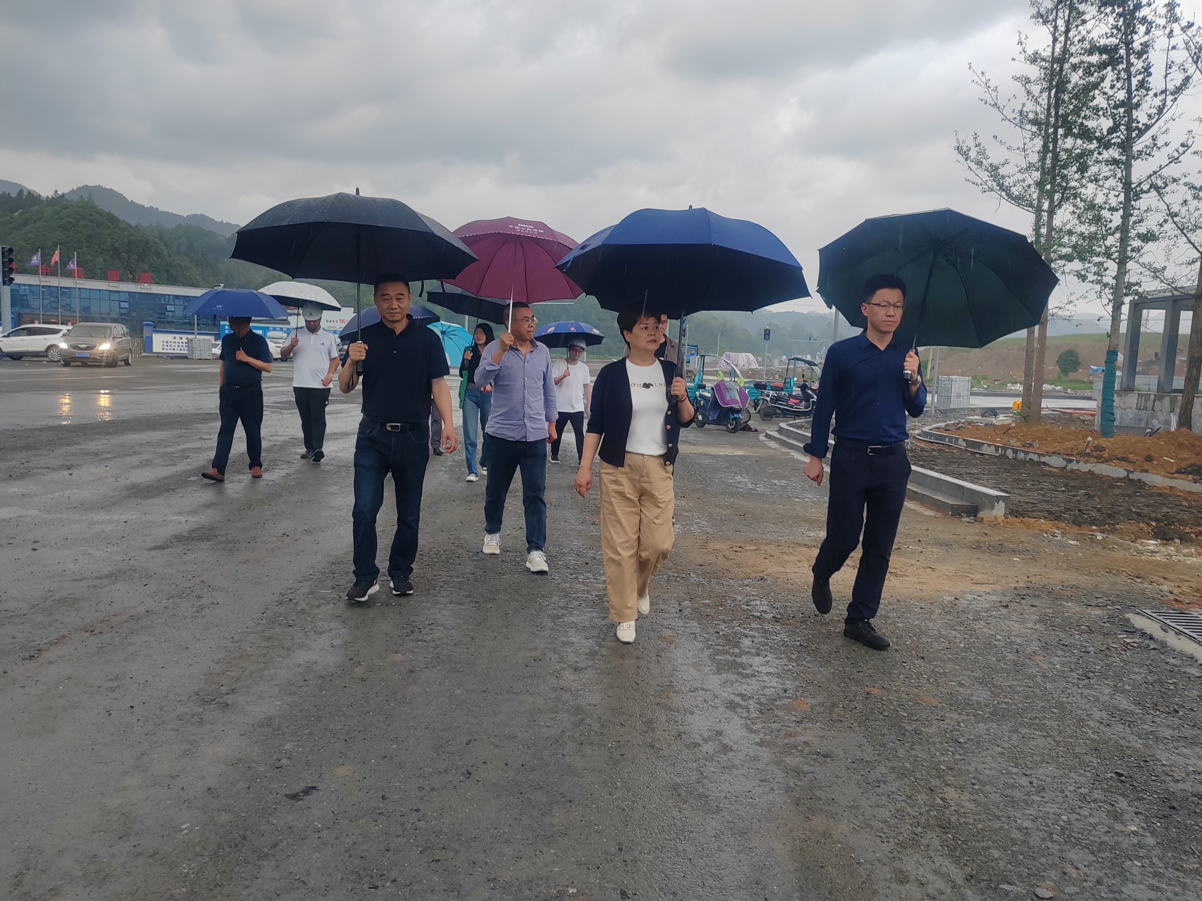 2ca9001effd953541f6b15a8baf549d(1).jpg 2ca9001effd953541f6b15a8baf549d(1).jpg